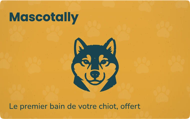 Bon de Mascotally, un salon de toilettage, pour le premier bain d'un chiot.
